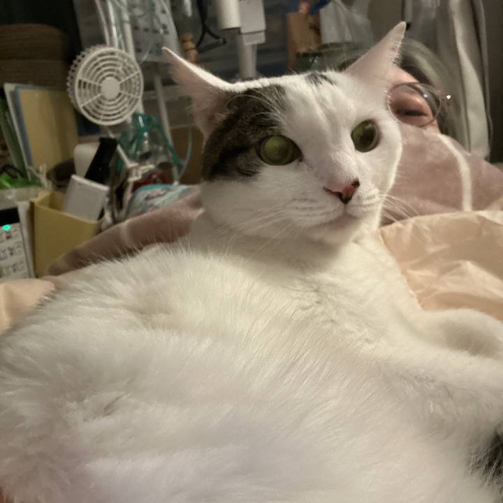 705c1c88 ee4e 480d a8f5 51f4680e955f 1765846462897