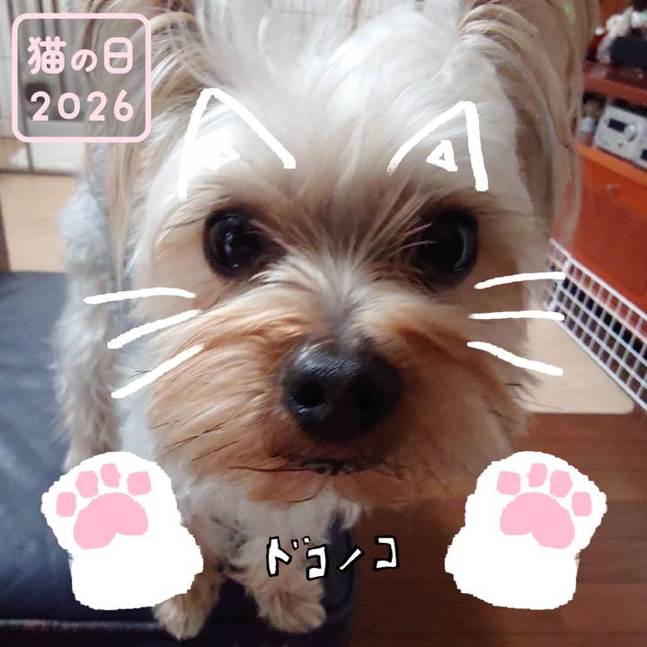 705c37a5 554f 4e59 91c1 6a6a5adae9a2 1771710340173