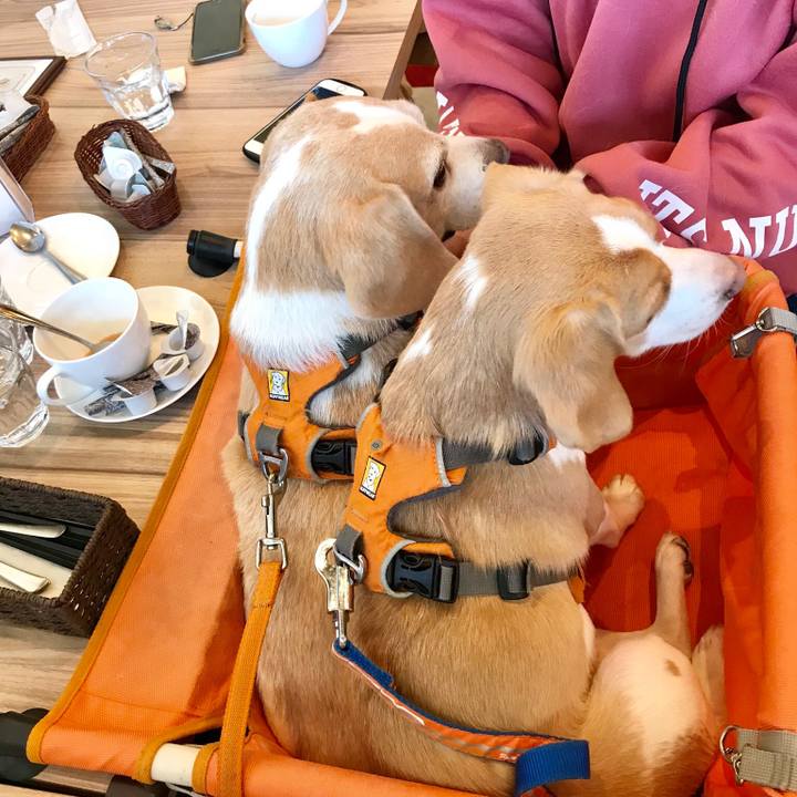 705c49bc 917e 476e 801b 0b448713e2cc 1546664230593