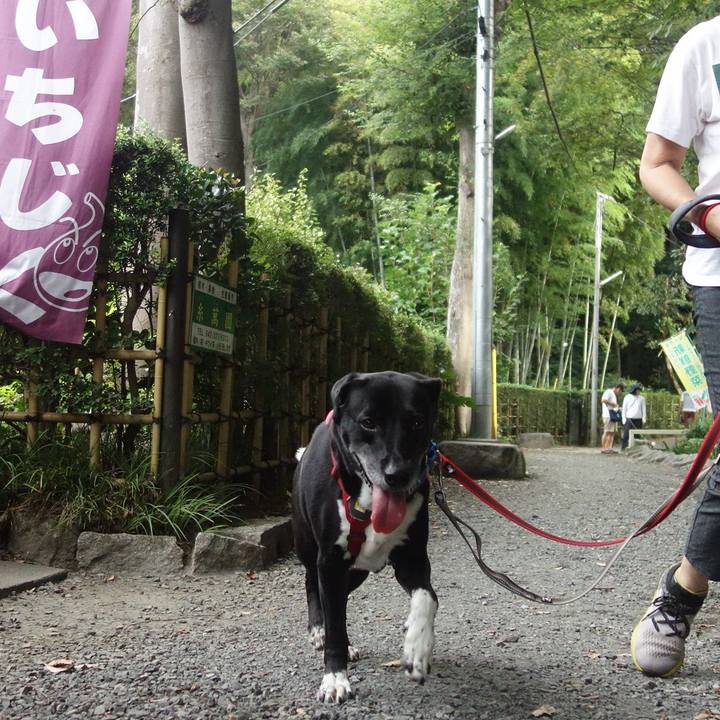 705c4c3e abb1 4587 97a9 1beedbea72a7 1693701735379