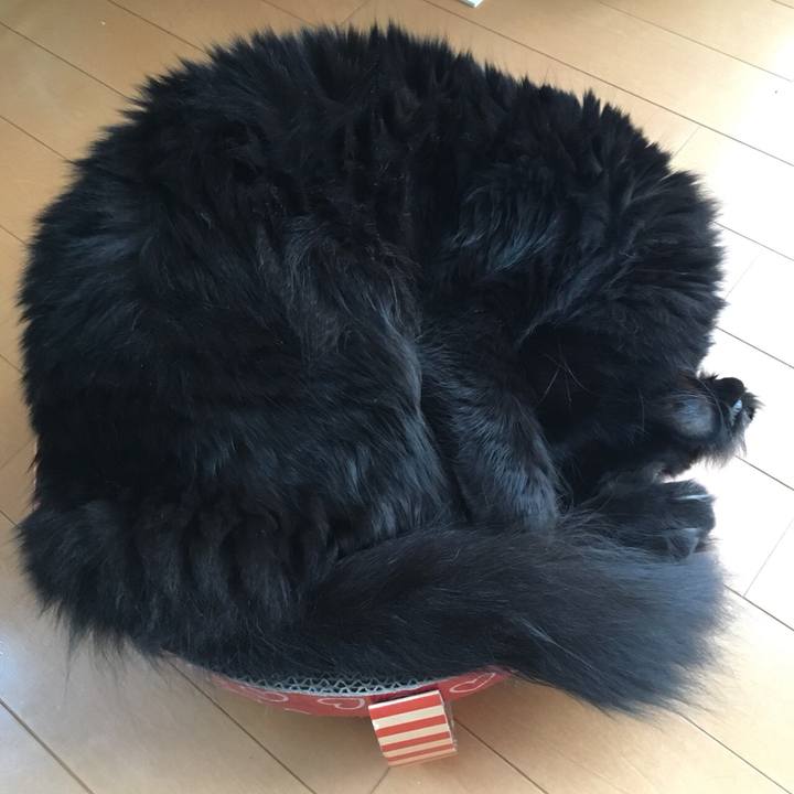 705c59ae 3498 4290 bea3 3f2d432c985c 1529301089744