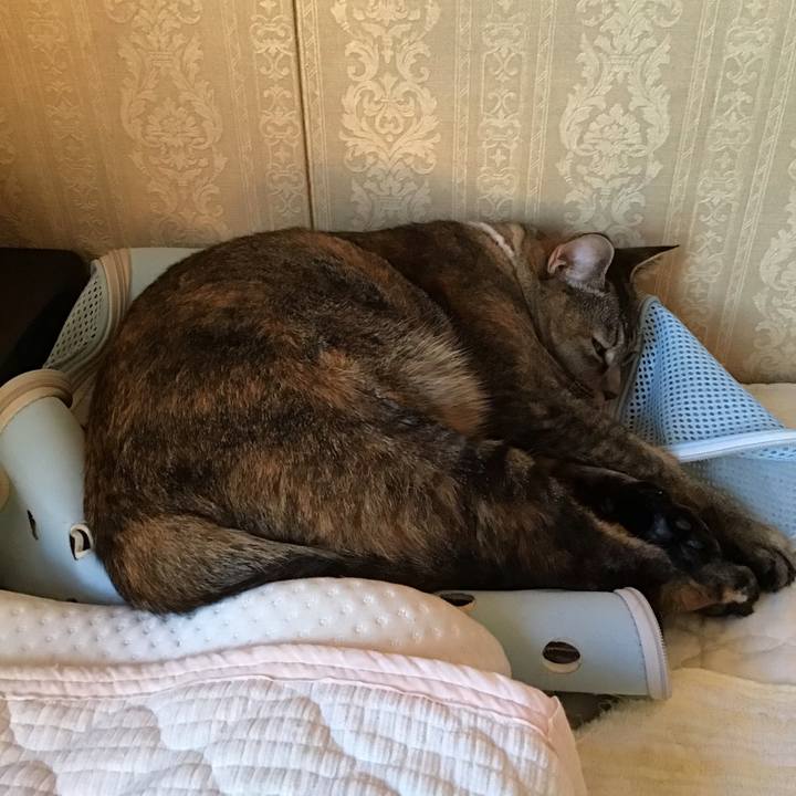 705c6905 250d 46be bdae 1ff8a5b3bb73 1667560655713