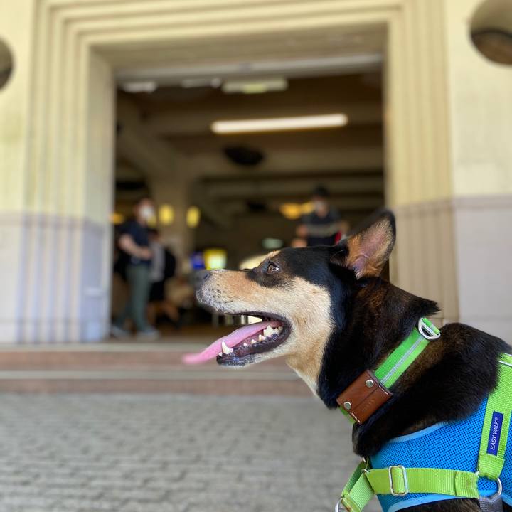 705c8a20 28e5 4552 97d1 281f470f99e0 1597466348857