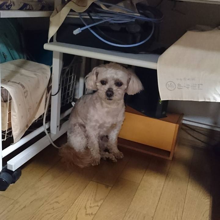 705cc028 283b 4c6e a656 079593f6fc5e 1589987041407