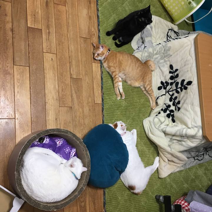 705cc233 bd27 4d76 a546 48c056c98c45 1548504732551