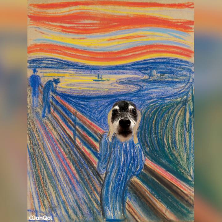 705cca4c ffd5 43e9 806d 686f3e4801cc 1634905235686