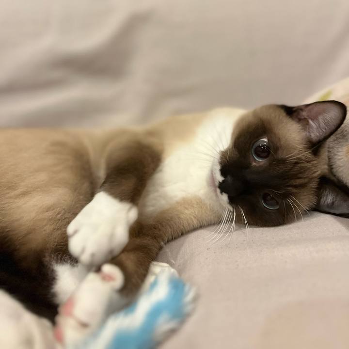 705cd1c3 6212 4b8d bc87 96e2ded5a7e2 1732270591048