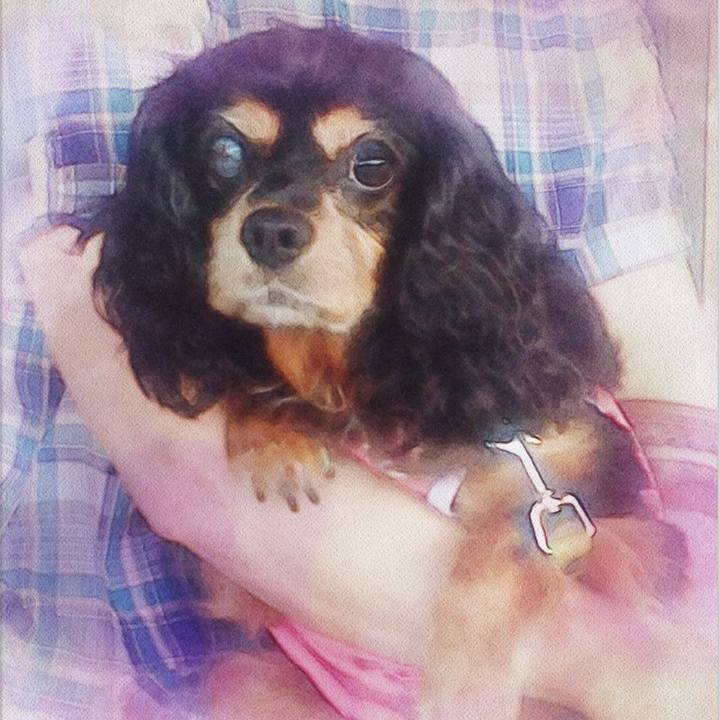 705cd5d3 f6c1 43d3 a076 fdeb06c79539 1555072030474