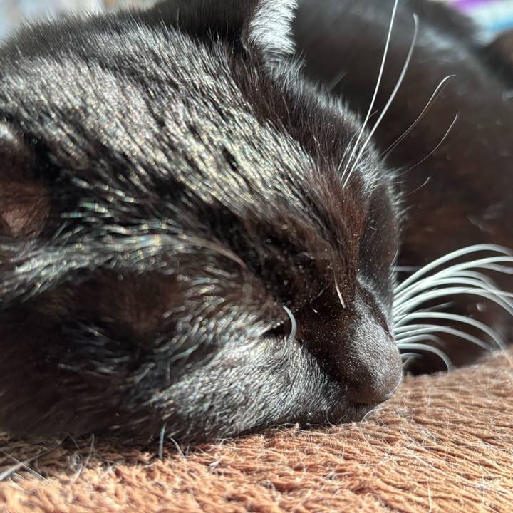 705cf1ee 181c 4abe 8674 3ca156eef714 1769643581356