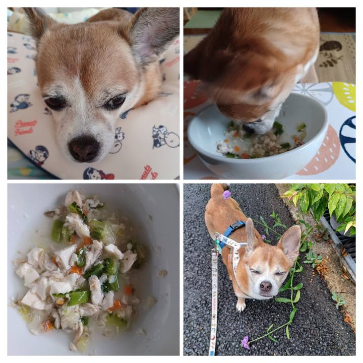 705cf292 5da6 4923 85d2 f2d83eb90060 1754776832166