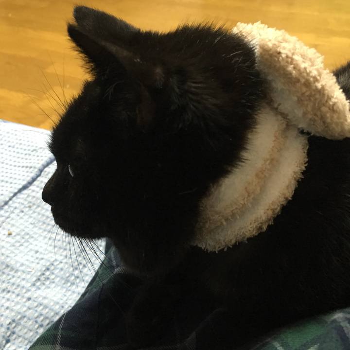 705d20d3 2a9f 48cf a7f1 19c455c224cf 1544884783069