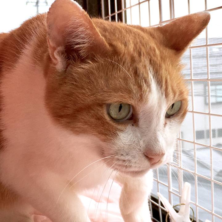 705daf1a d0fd 4221 84c9 7b2a72a89a85 1567133725136