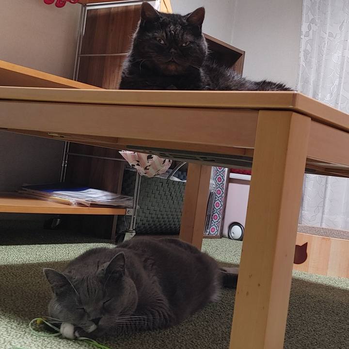 705db159 8868 4f79 9a6f cfbd48d917ed 1637934877957