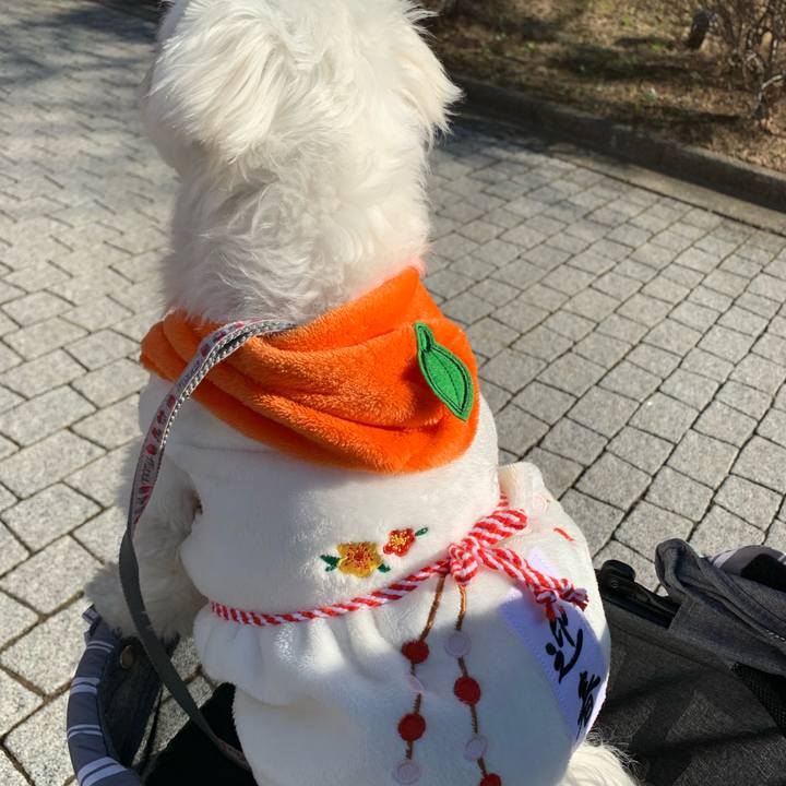 705e3a72 299a 4094 8ba7 55f19102e78f 1641195473990