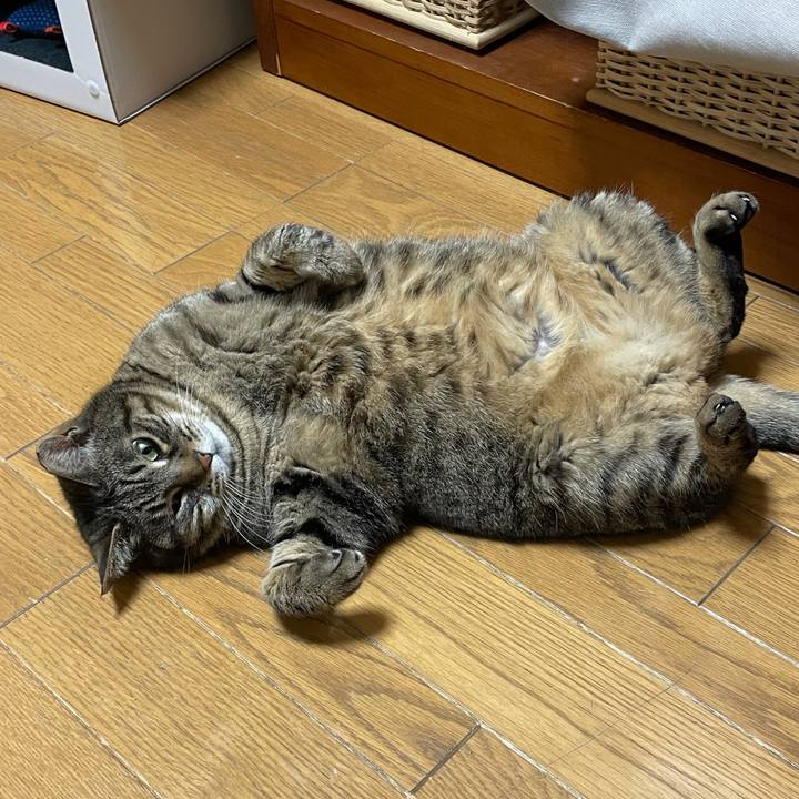 705e83cb 2234 409f a2a9 46e45057dd35 1616154653671