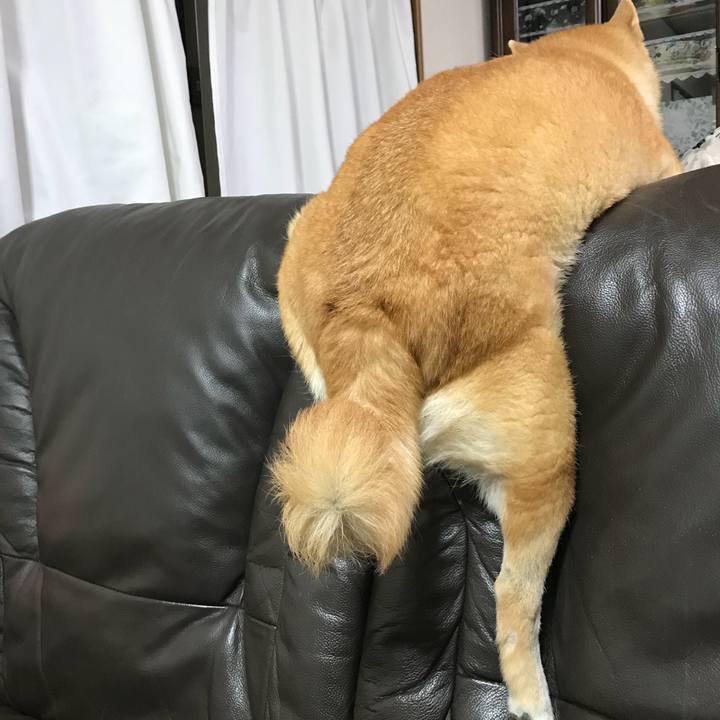 705e8ffa 76c1 4a62 8b22 eea4d009cd56 1509366936881