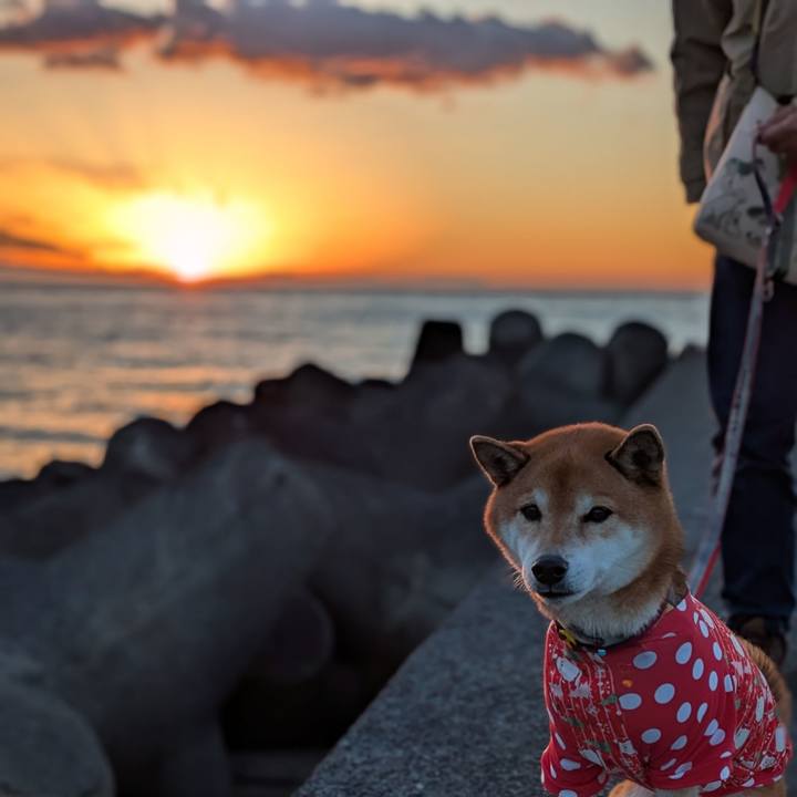 705e9ff9 74b6 4cd2 a7cc e780d36046f7 1734621329379