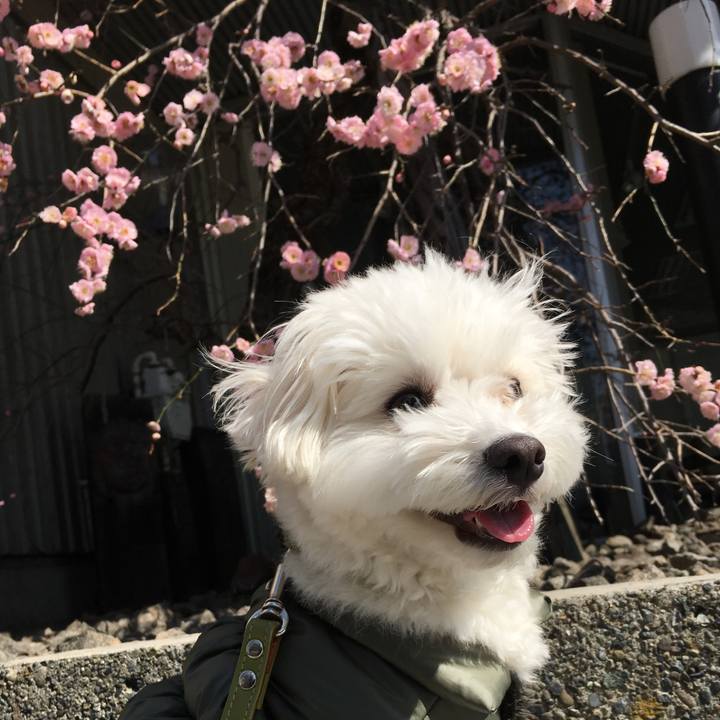 705ec56d ccd0 448a 851b 78aa92bc79bf 1551082592444