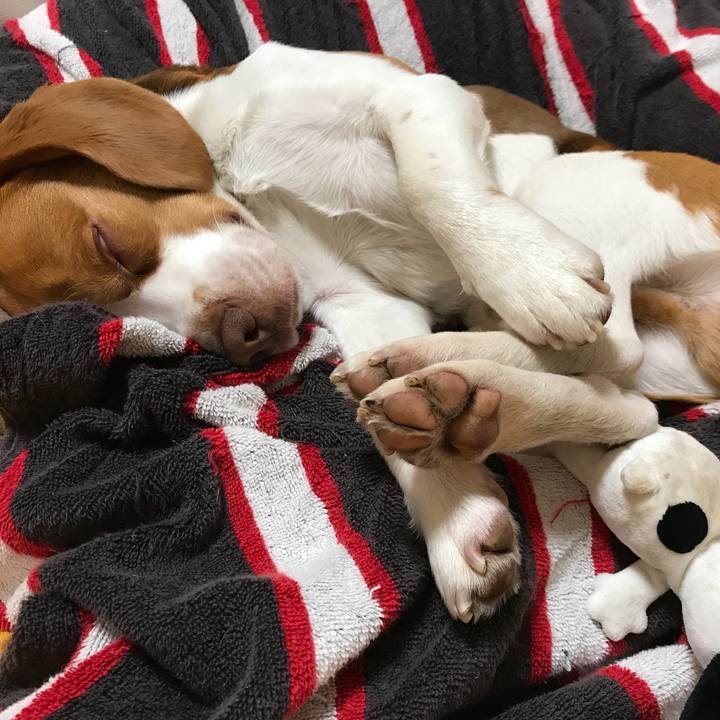 705ed500 61c3 4ca8 ad65 46b37eef1998 1522592422810