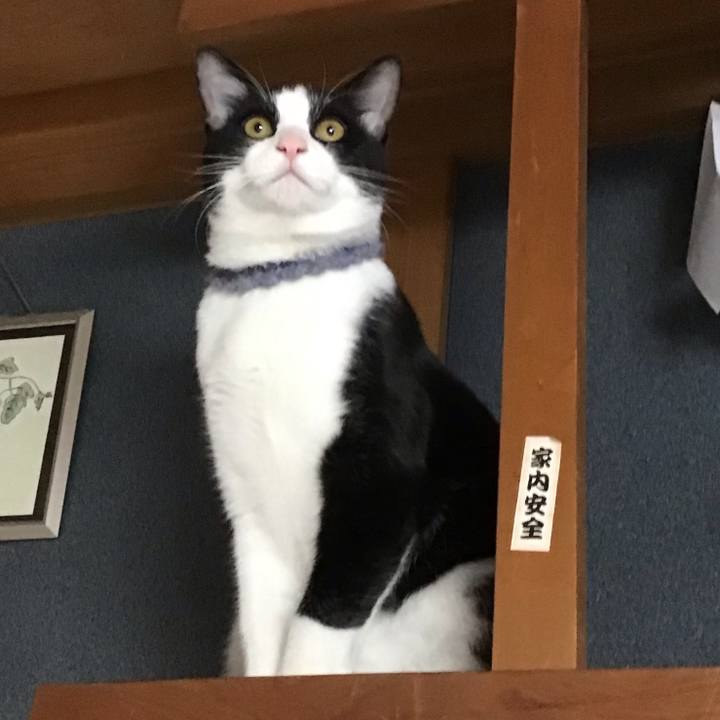 705edcf7 cc6d 47ed 8bd2 abe3b6d55b28 1640300602399