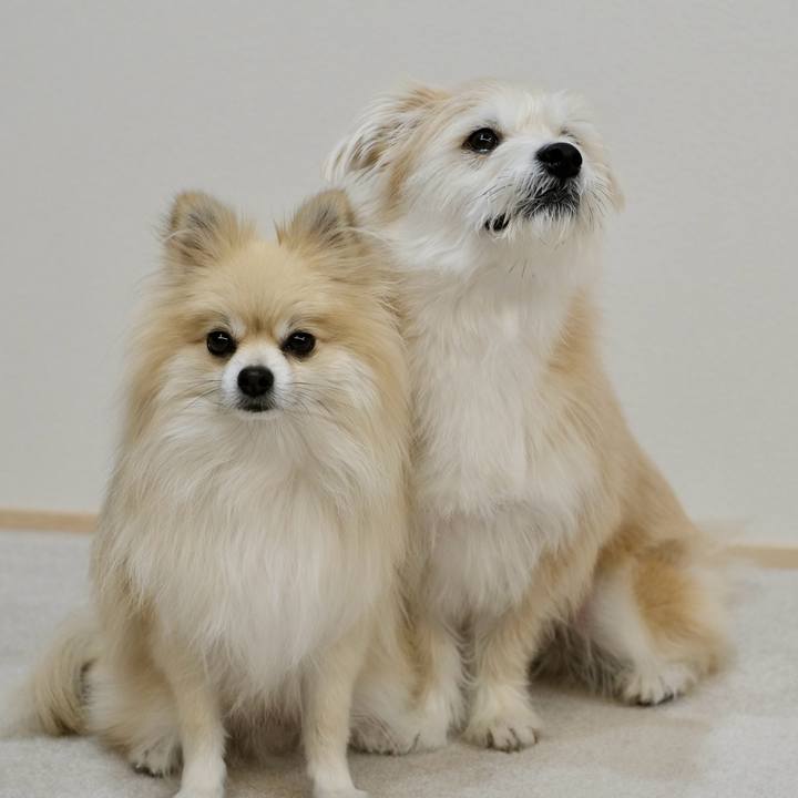 705ee712 e529 4f3f bd10 4723d8e3f85a 1763587950132