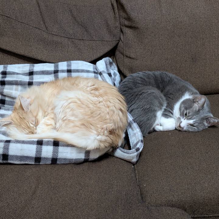 705efbd0 761e 425d be56 479dc68e42f0 1734863819513