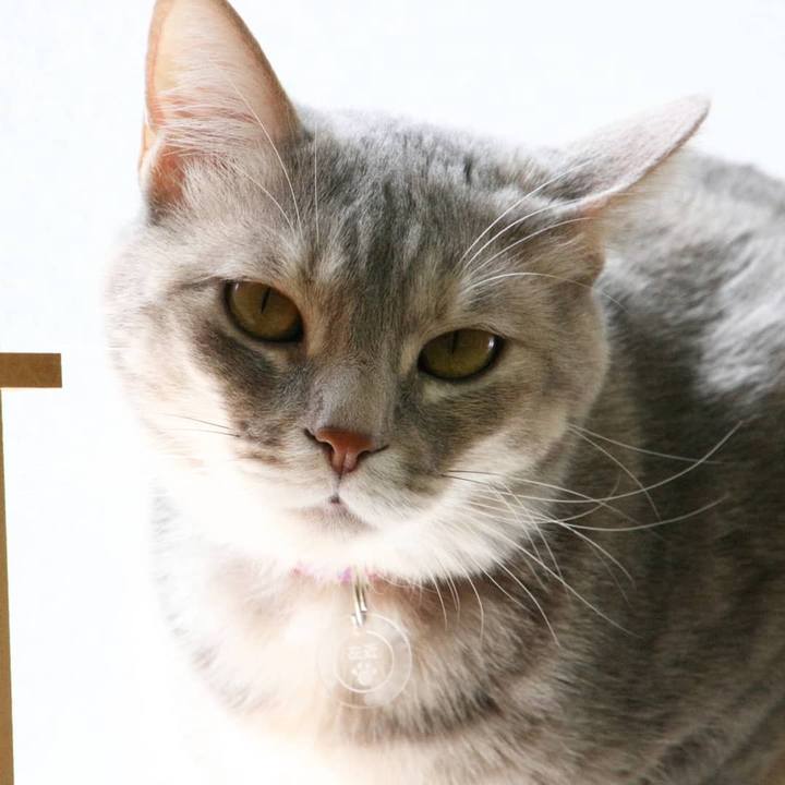 705effb2 b609 46e3 a329 aaff6efff125 1526433326487