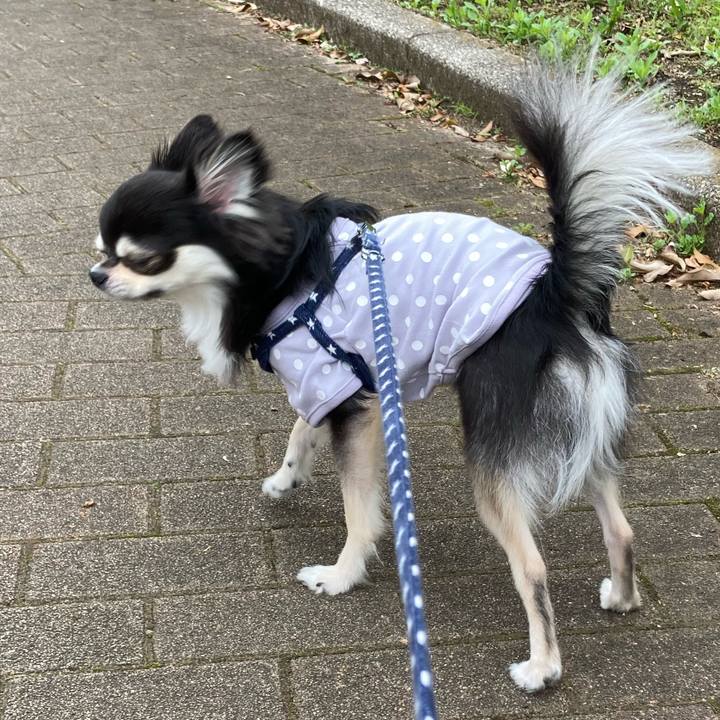 705f506d 76a0 4d57 b1f6 7c9a471319f8 1651238453961