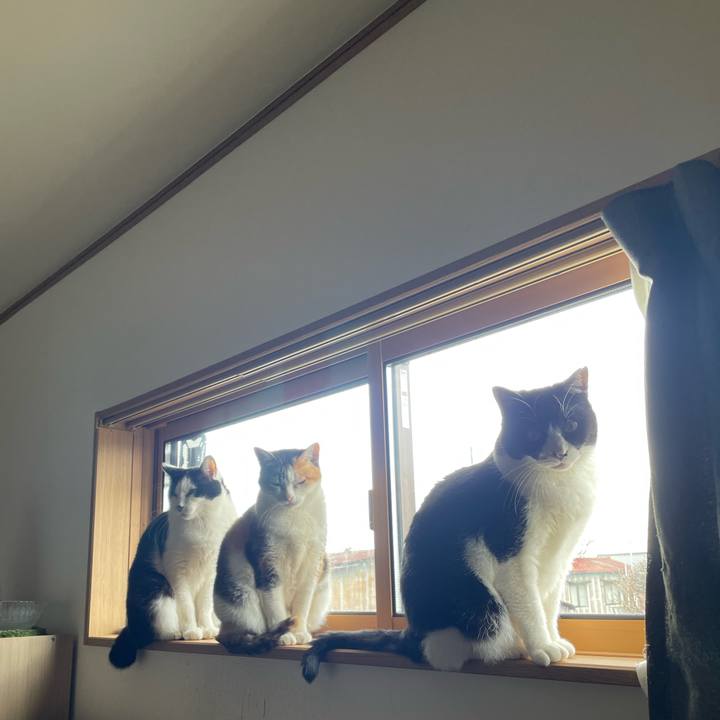 705f621a 4e96 4d31 bc8c a700f4cfd61c 1774501633324