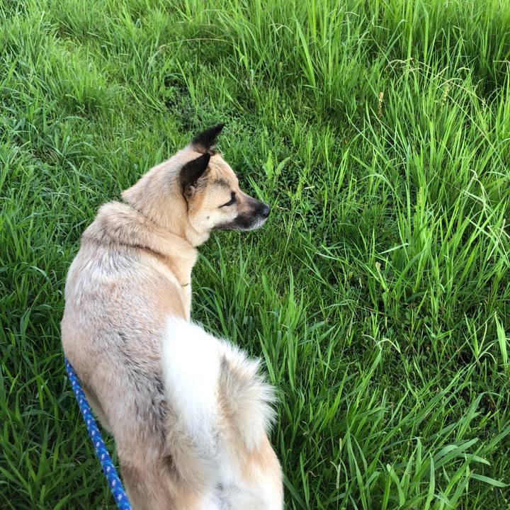 705f630f dba6 497f a8ee 63ff36444ff7 1596110414417