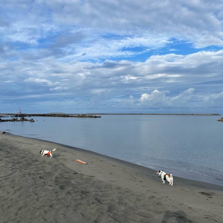 705f65e9 5b52 4b86 93d3 0c1982f9740a 1694561194692