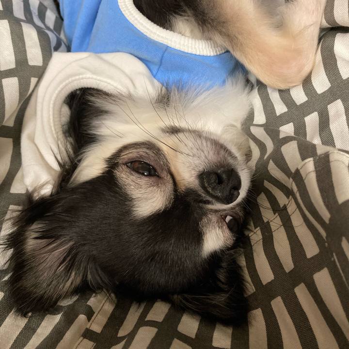 705fb871 61b7 4813 b527 8f4df8fbf843 1650203614680