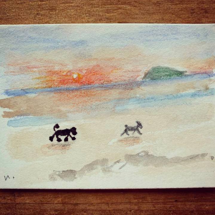 705fcb0e e7b4 4040 abfe 77bc79947f05 1610599270303