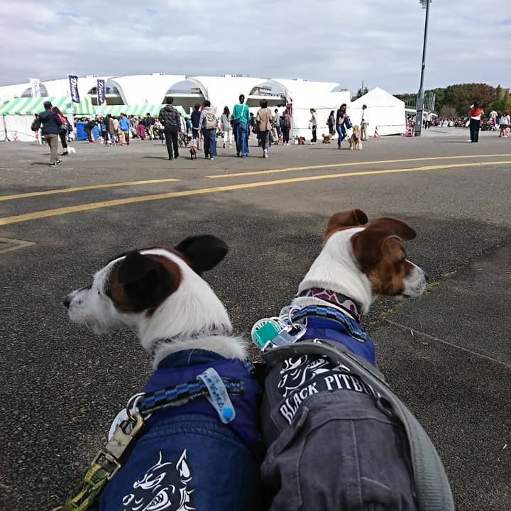 706004e4 5a63 43d6 8fbd 17e21ac4e544 1539492138992