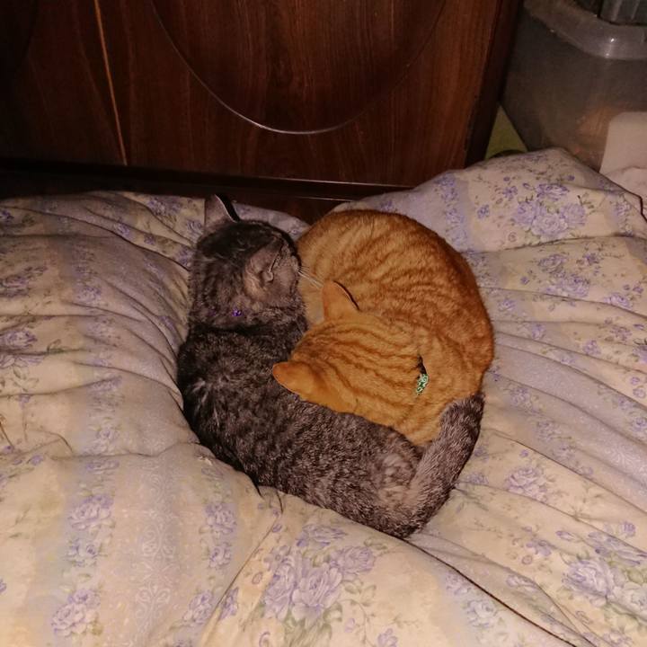 70600541 fa12 4990 bbfc ec25c01b5c1f 1580053983697