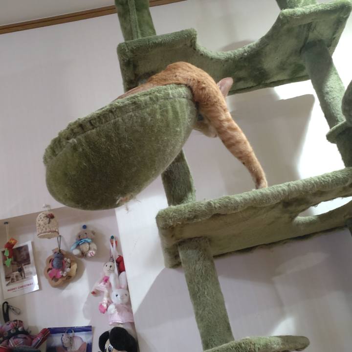 70600a8f 482c 4d03 90ca 43c78b0ec2b4 1725359374282