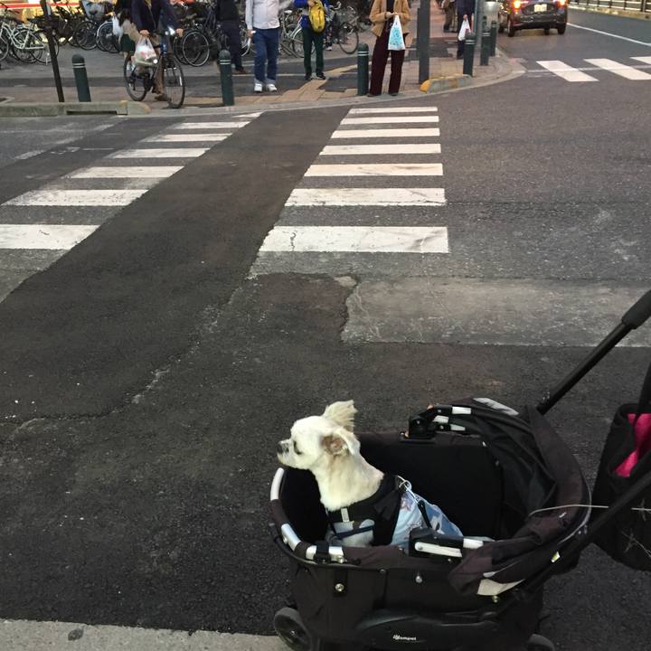 70601c80 1d38 4900 b134 c9d79a96beb3 1540723887347