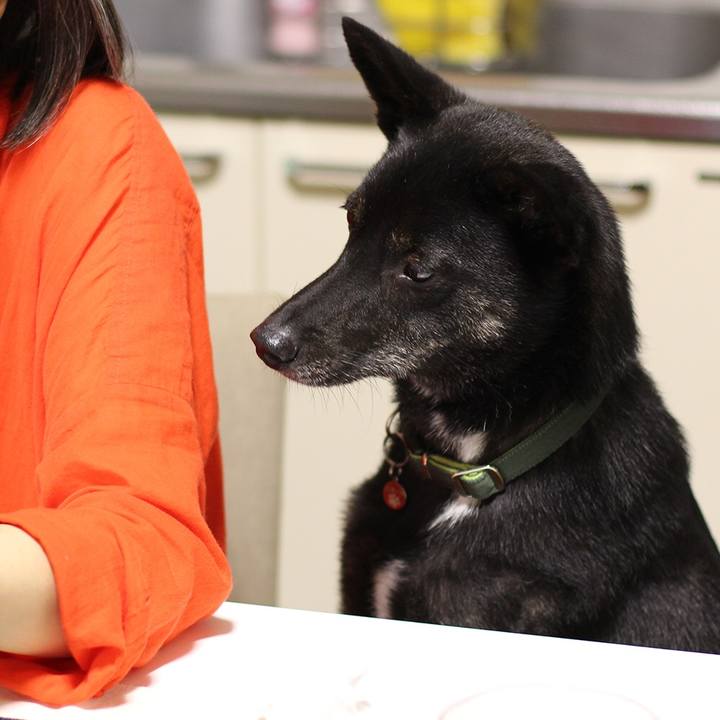 70601d65 27e1 429d b010 c06e23f4e969 1531272873628