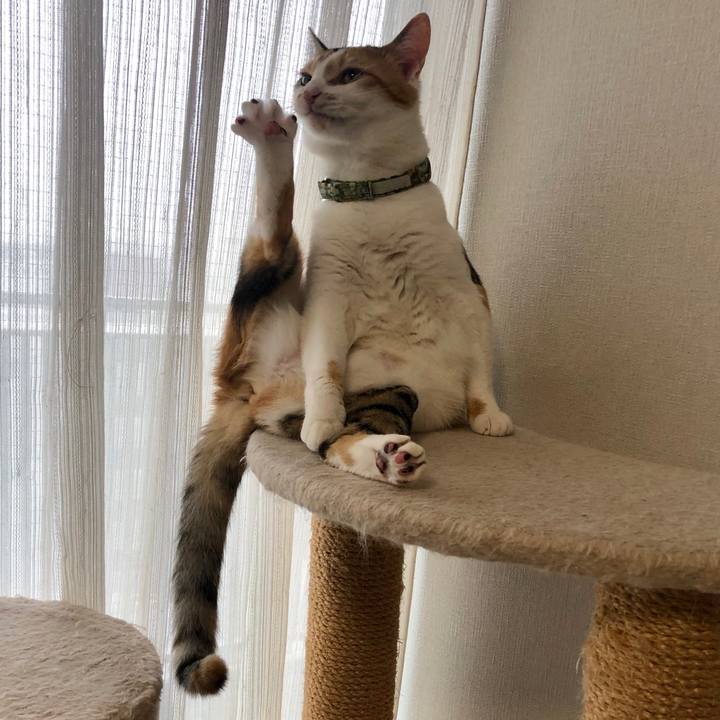 70604dca 5053 4d62 af4a c5a63c8a24ca 1593042527233