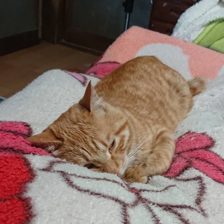 70605267 ac56 49a3 9f17 969b0c9bfbc1 1652177658691