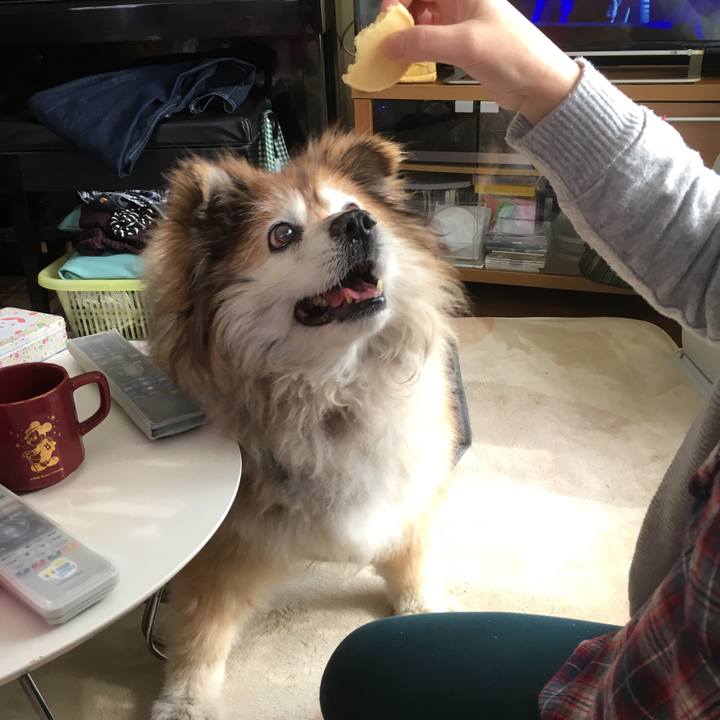 70606f82 401e 48e1 8525 267e31a1bbb9 1560816389552