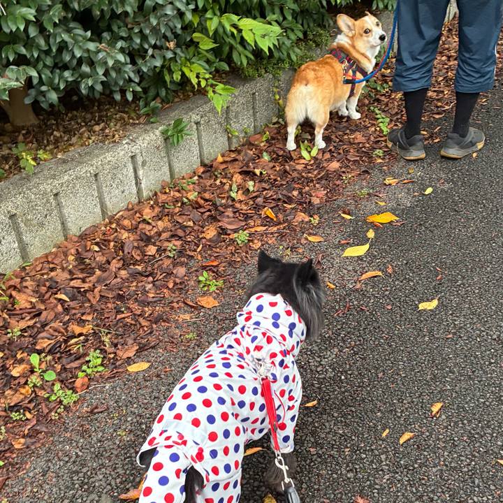 70607ba5 14b7 436e 99e1 ef44c5757e9e 1761004116845