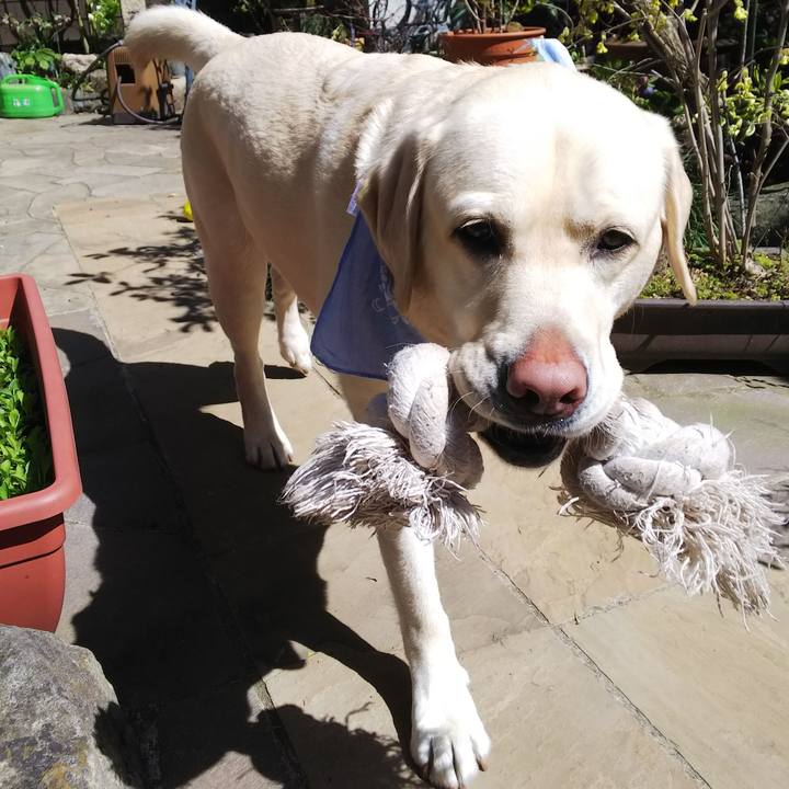 70608ee2 526c 4dae b473 af215c98252a 1585111569898