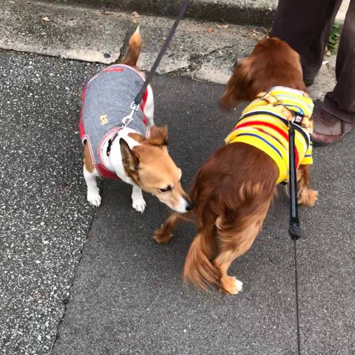 706141b8 fc5c 4c7a 86d6 f6fa6a1951e1 1576362220761