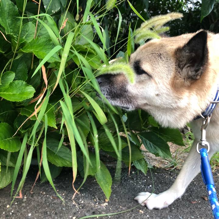 7061565b 9b0e 4bf6 8db3 d2b947aa3ae9 1627730760563