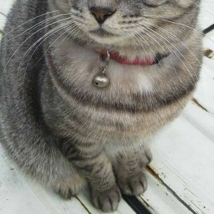 70616f33 e260 4913 9ba0 0ec5838fb026 1585633875870