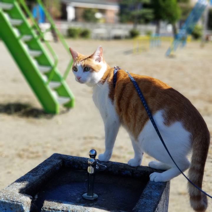 70617905 fb1c 415f a300 ef95e4991dc7 1538971160220