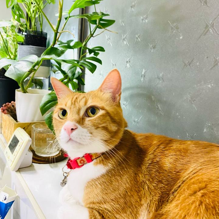 70619688 6bee 456d 85a3 e2affeabbc36 1714830710495