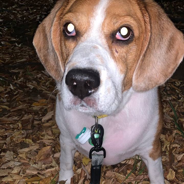 7061c62d 5846 4d80 88e0 359cdf0025a7 1667623519569