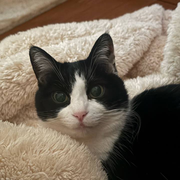 7061eb22 423f 4175 8569 93117b43196f 1771710772456